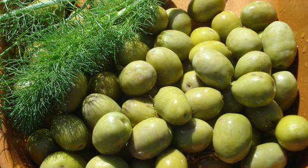 L'oliva tenera ascolana