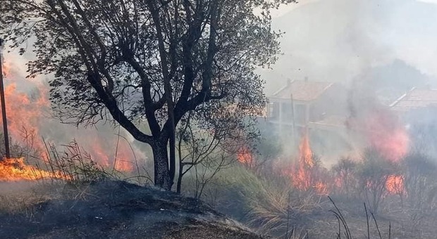 Narni, è ancora allarme incendi. Bruciano i boschi di Guadamello e Campo Vallone (di nuovo)