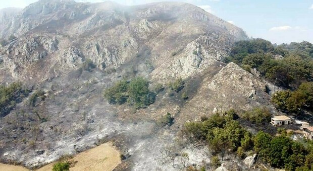 Incendi sulle colline, denunciato il presunto piromane: è un volontario ambientalista