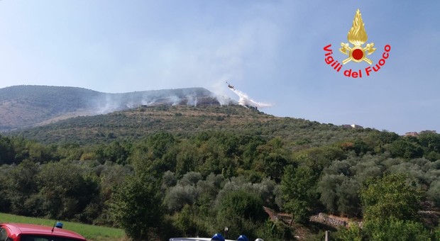 Bosco in fiamme a Roccasecca, vigili del fuoco al lavoro per contrastare l'incendio