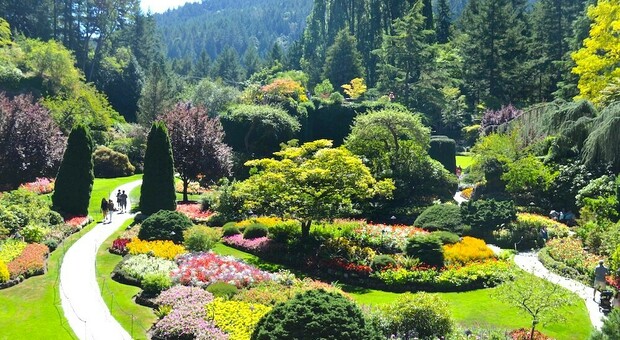 Garden Tourism, ecco la top 8 delle destinazioni floreali da non perdere per le vacanze