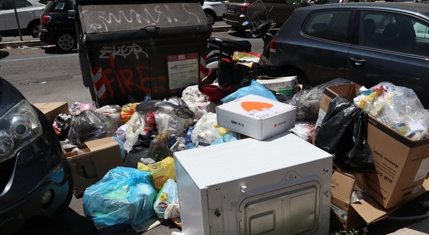 Emergenza rifiuti. L'allarme dei medici: «Roma come una discarica. Invasione di topi, insetti e gabbiani»
