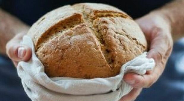 Caro prezzi, pane a 4 euro al chilo: l'allarme di Coldiretti Puglia
