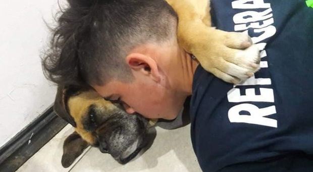 Cane muore di paura per i fuochi artificiali: ultime strazianti ore tra le braccia del padrone