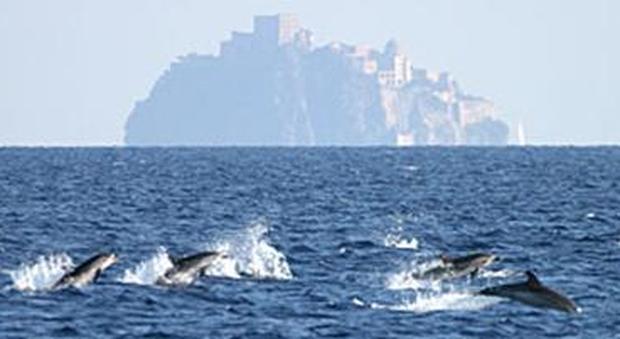 Napoli, aree naturali protette: via al piano strategico di tutela
