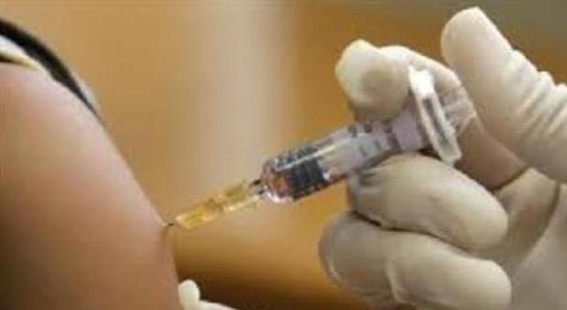Blocco vaccini, l’Agenzia Ue del farmaco: “Nessun legame tra morti e Fluad”
