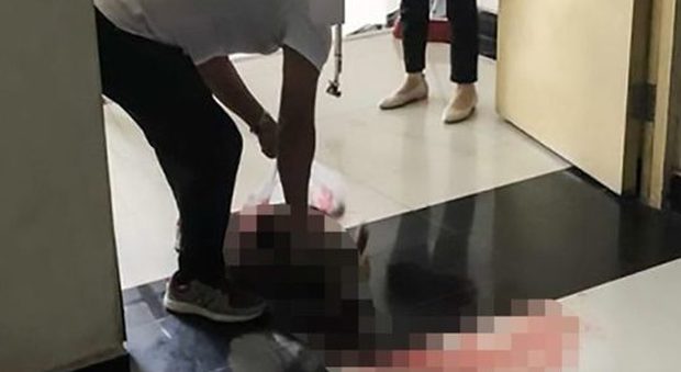 Cucciolo di cane si rifugia nel dormitorio dell'università, la security lo uccide a bastonate (Asia Wire)