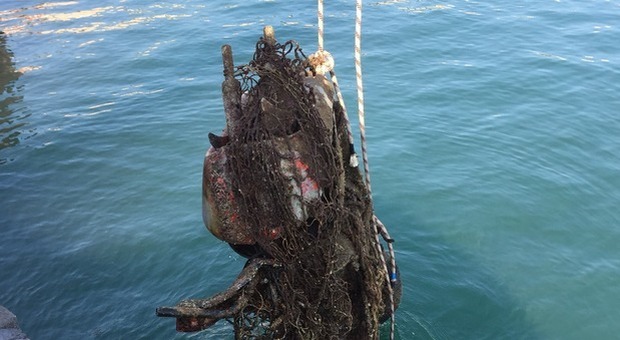 «Mostro marino» sui fondali della costa flegrea: mistero svelato