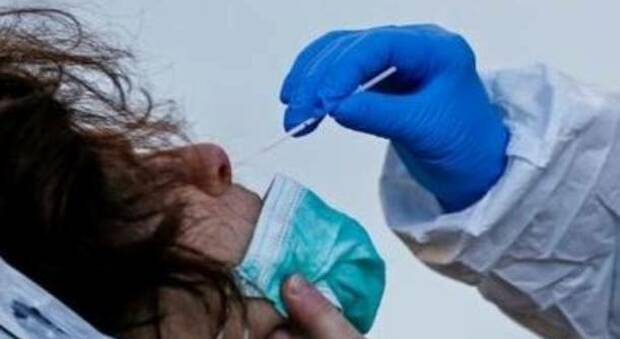 La variante buca-vaccino in crescita tra i ricoverati nelle Marche