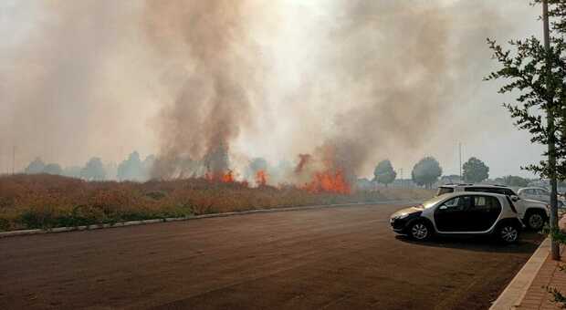 Incendi in Puglia, in fumo 1.400 ettari e danni per 14 milioni. Lecce chiede lo stato di emergenza
