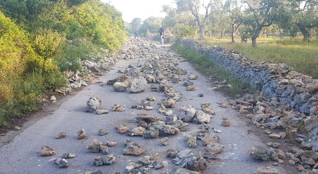 No Tap in azione: nuovi blocchi al cantiere del gasdotto Il tweet di Calenda: complimenti ai difensori dell'ambiente