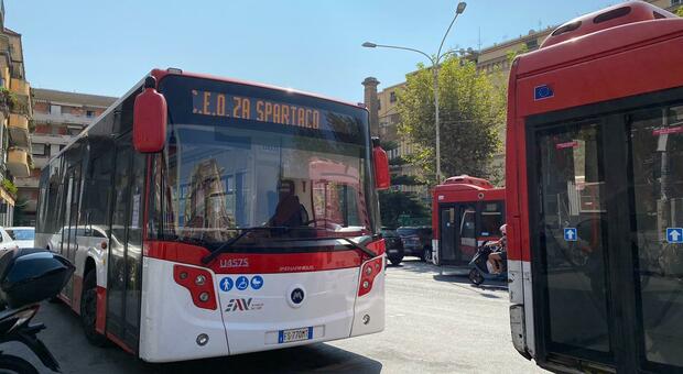 Autobus, l'hinterland di Napoli riparte: Eav «accende» le linee Ctp