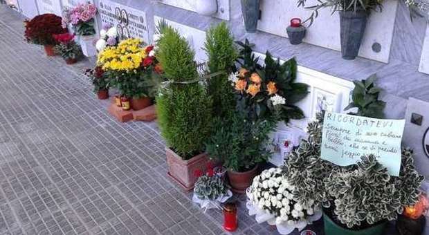 Furti al cimitero, un cartello per i ladri: «Non rubate i fiori da mamma e babbo»
