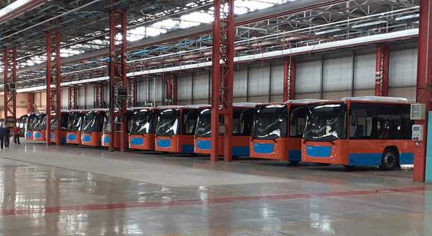 Napoli, in arrivo 11 nuovi autobus Anm: 120 nuovi mezzi con meno di un anno di età