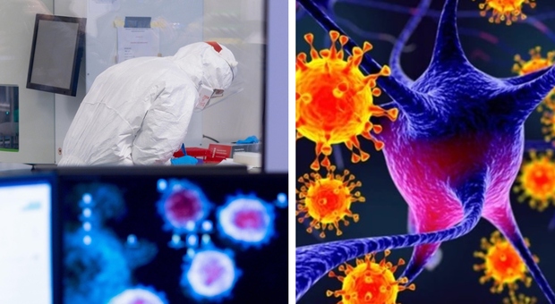 Identificato un virus che potrebbe causare una nuova pandemia
