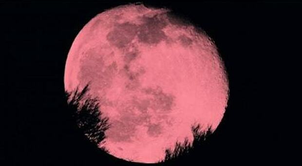 Poche ore alla Superluna di fragole. Al tramonto o all'alba: uno spettacolo imperdibile.