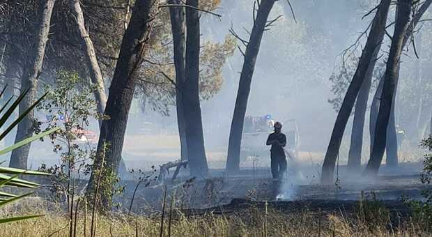 Pescara, si riaccende l'incendio nella pineta dannunziana: stabilimenti evacuati, tensione altissima