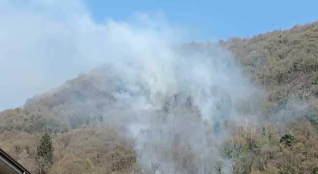 Segnalato incendio in loc Scandolara tra Recoaro e Valdagno. Volontari di Recoaro stanno andando sul posto. Attivata squadra di Valdagno.