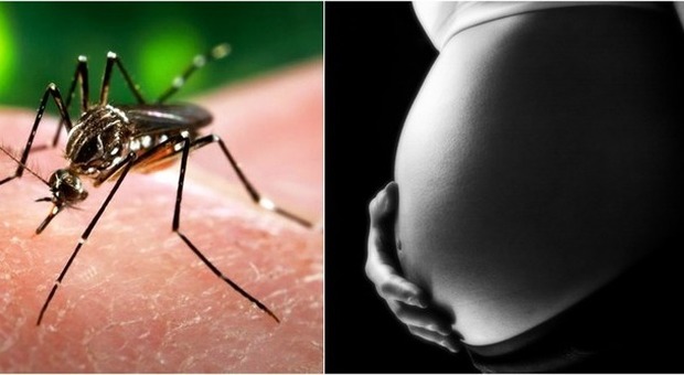 "Le donne incinte non vadano nei Paesi colpiti dal virus Zika"