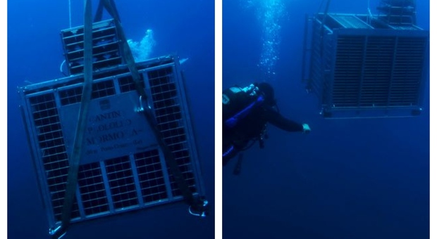 Salento, il vino nel mare: l'esperimento con le bottiglie a 30 metri di profondità per un anno