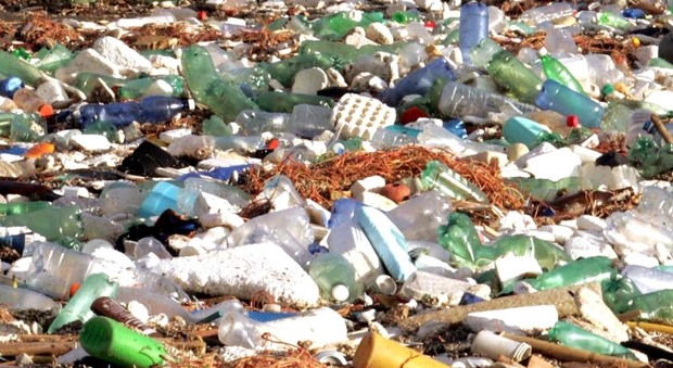 plastica portata dal mare