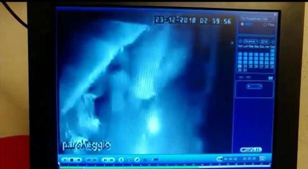 Un fermo immagine del video della telecamera di sorveglianza