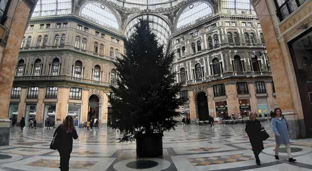 Napoli, per Natale torna «Rubacchio»: l'albero in Galleria rubato ogni anno