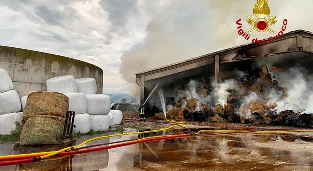 Pozzoleone. Vanno a fuoco oltre 2500 balle di fieno in azienda agricola: distrutti 10 mila quintali di foraggio