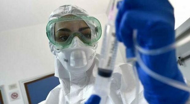 Il Langya virus scoperto in Cina: infettate 35 persone, colpisce anche fegato e reni
