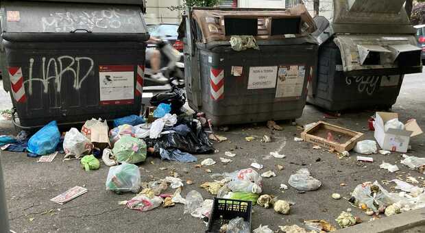 Roma, rifiuti in strada per giorni. Il virologo Pregliasco: «Altissimo rischio infezioni. Attenti a topi, gabbiani e piccioni»