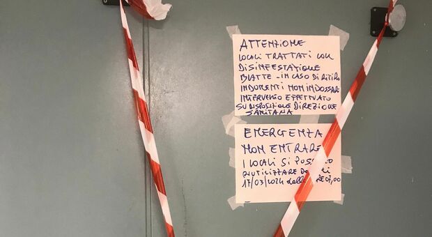 Invasione di blatte nei locali spogliatoio dell'ospedale Goretti: disinfestazione e disagi