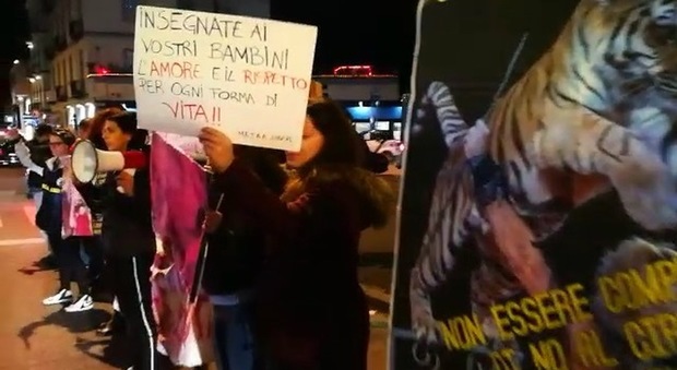 Napoli, la protesta degli animalisti davanti al circo Togni a Fuorigrotta