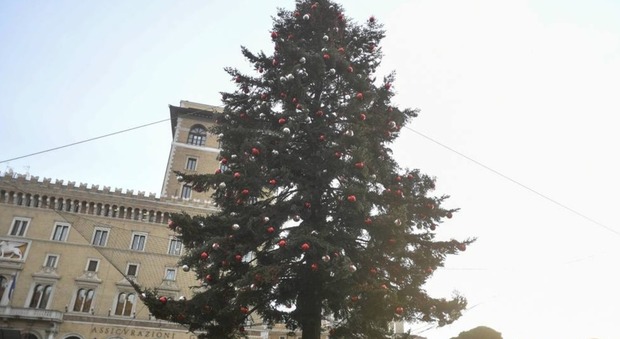 Spelacchio imbragato, cadono le decorazioni dell'albero di Natale di piazza Venezia