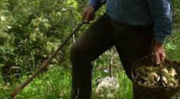 Va a funghi e cade in una scarpata: muore anziano turista padovano