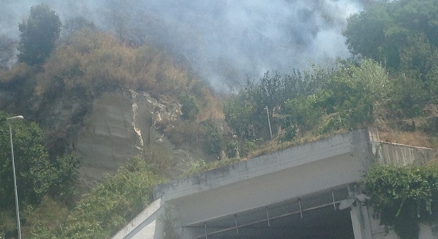 Napoli. Incendio sulla collina dei Camaldoli fuoco su raccordo Vomero-Pianura