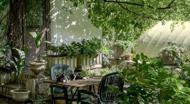 Immobiliare Napoli, solo il 5,5% delle case in vendita offre giardino privato