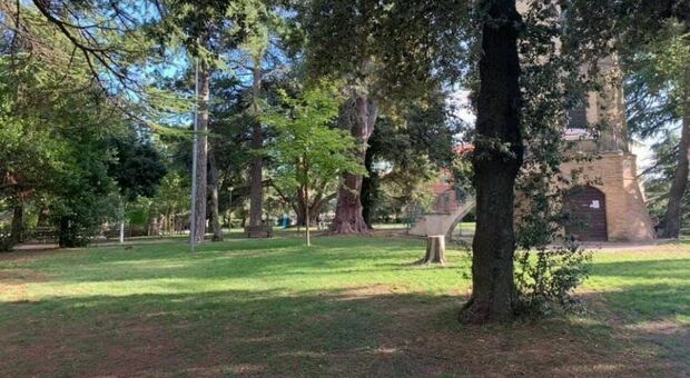 Riapre il parco urbano di Villa Cozza: impossibile salvare il pino centenario
