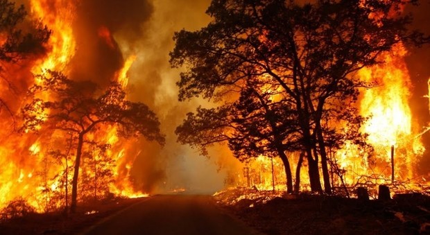 Task force contro gli incendi boschivi Da oggi in azione 40 unità operative