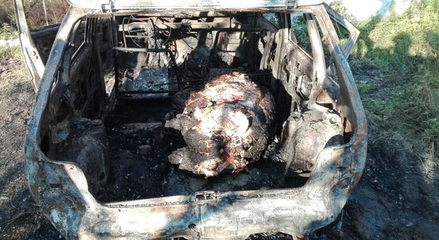 Macabra scoperta in campagna: bruciano auto con maiale dentro