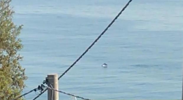 A San Vito Marina nella Costa dei Trabocchi d'Abruzzo sei delfini giocano sulle onde tra il molo e la stazione