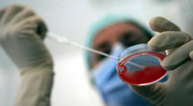 Ricerca, è italiano il primo polo universitario per lo screening genetico prenatale