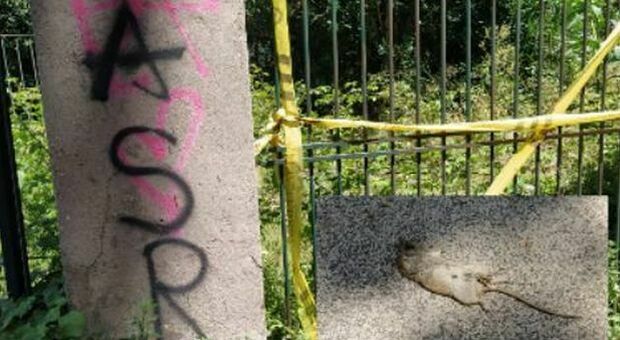 Roma, «I topi? So' colleghi ormai»: le frasi (vere) e più divertenti dei romani sui disastri della città