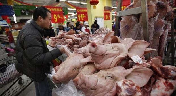 Cina, peste suina: il Governo mette all'asta 10mila tonnellate di carne di maiale surgelata