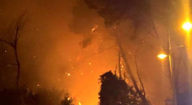 Pescara, l'incendio della pineta causato dalle lanterne volanti