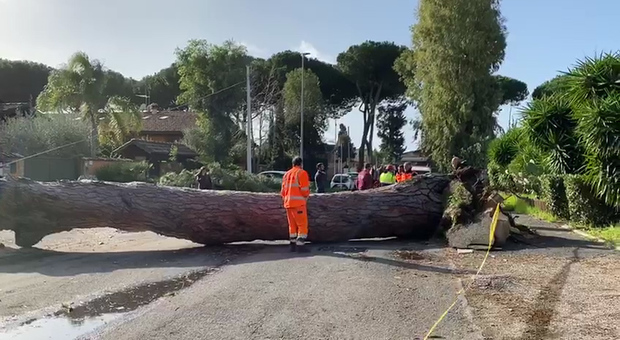 immagine Ostia, maltempo, mareggiata