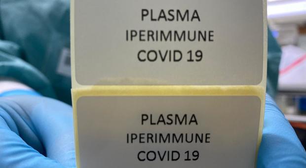 Plasma iperimmune, al via la raccolta sui primi 4 pazienti. In 120 in fila per donare