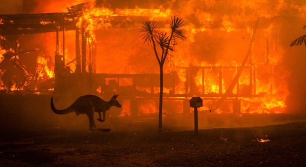 Gli incendi stanno provocando da settimane morte e distruzione in tutta l’Australia