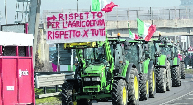 La protesta dei trattori arriva a Rovigo, Confagricoltura: «Siamo all'esasperazione»