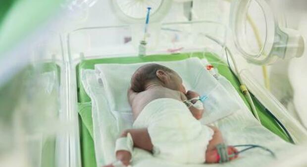 Allarme virus respiratorio nei neonati: 4 intubati in terapia intensiva a Padova, 2 a Roma