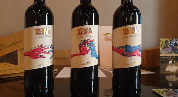 Nasce “Xenia”, il vino dell'ospitalità: è prodotto a Grottaferrata con l'aiuto di migranti e disabili